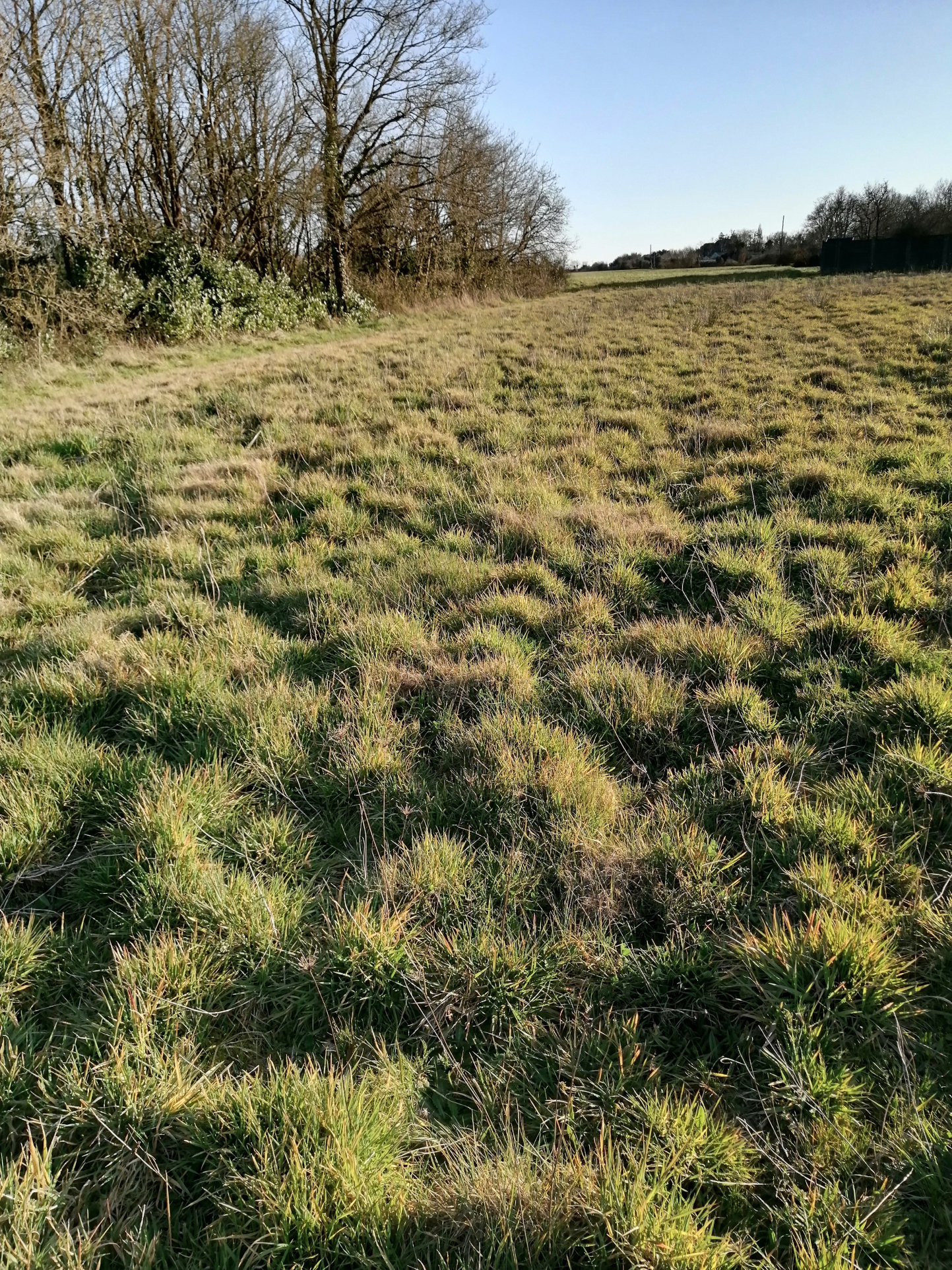 Terrain constructible