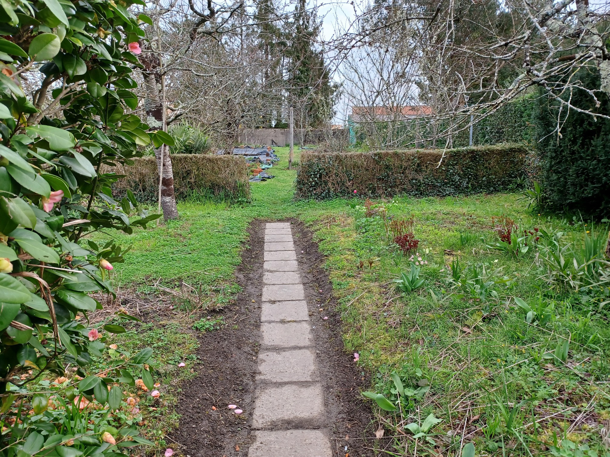 Maison 5 chambres, centre de COEX